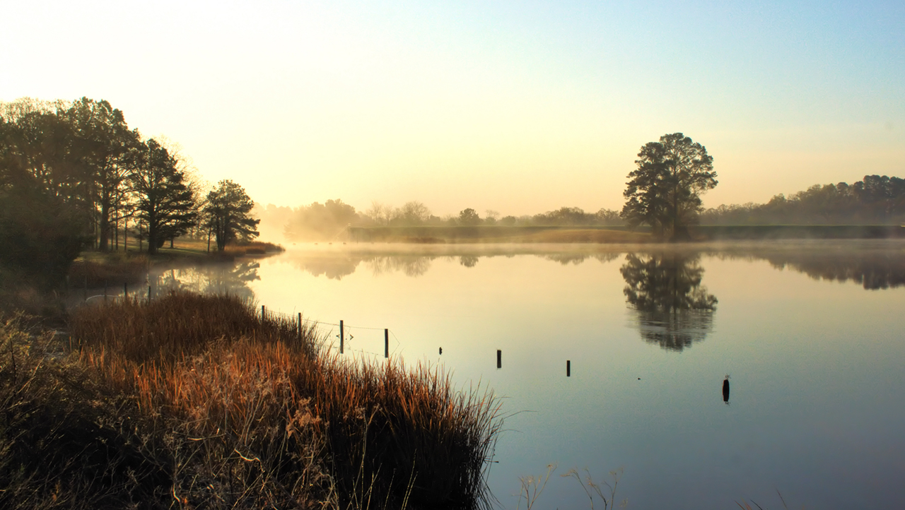 Peaceful Morning at the Lake
